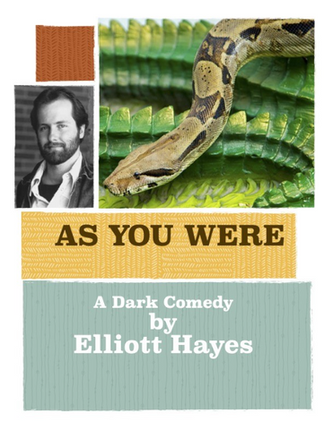 As You Were: A Dark Comedy by Elliott Hayes