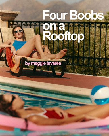 Four Boobs on a Rooftop by Maggie Tavares