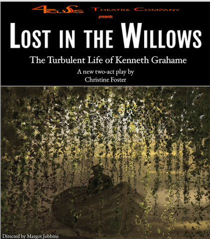 Lost in the Willows by Christine Foster