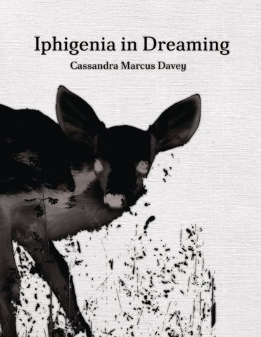 Iphigenia in Dreaming by Cassandra Marcus Davey