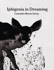 Iphigenia in Dreaming by Cassandra Marcus Davey