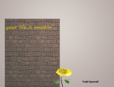 Your Life is Smokin' by Todd Spurrell