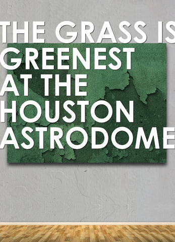 The Grass is Greenest at the Houston Astrodome by Michael Ross Albert