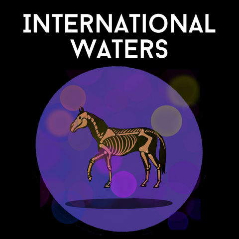 International Waters by Dan Bray