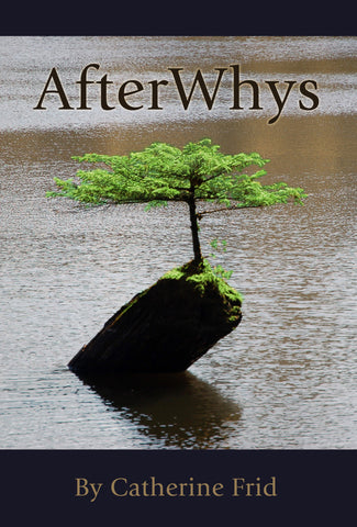 AfterWhys by Catherine Frid
