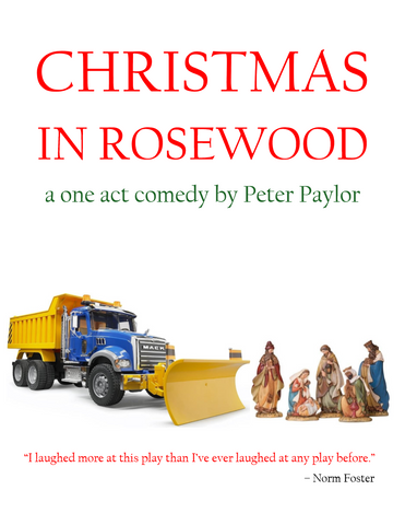Christmas in Rosewood by Peter Paylor