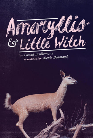 Amaryllis & Little Witch by Pascal Brullemans, translated by Alexis Diamond