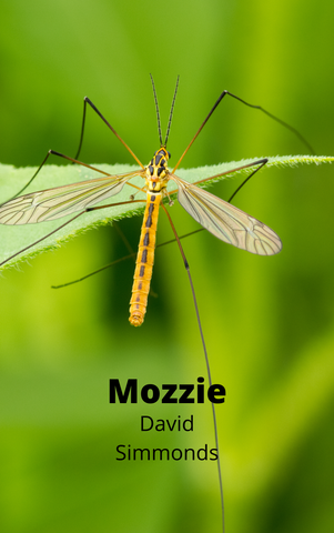 Mozzie by David Simmonds