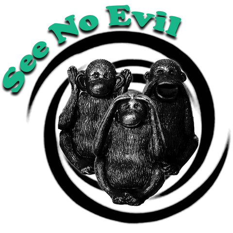 See No Evil by Marc A. Moir