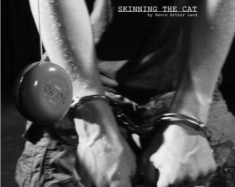 Skinning The Cat by Kevin Land
