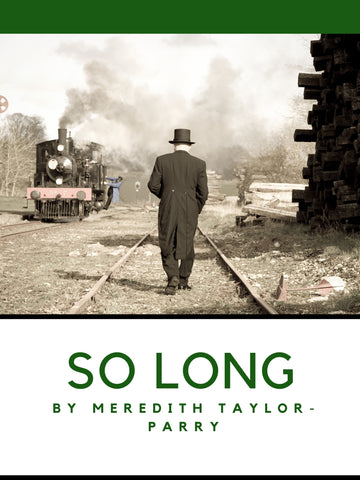 So Long by Meredith Taylor-Parry