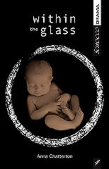Image Within the Glass